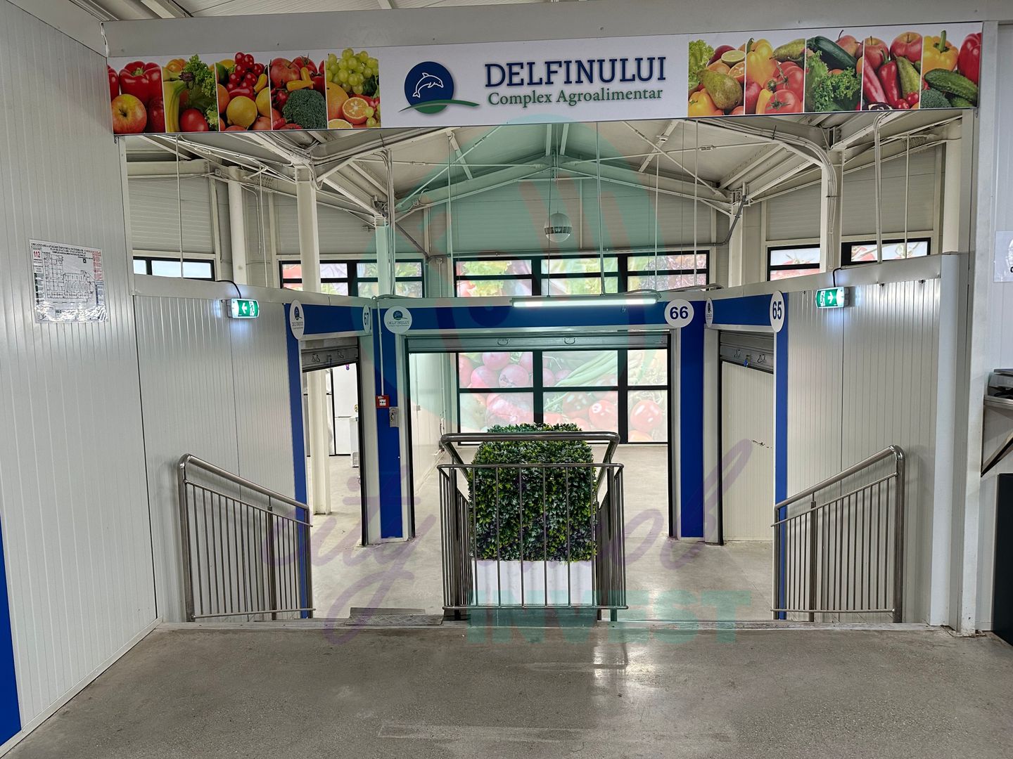 Spatii comerciale de inchiriat in PIATA DELFINULUI - Poză 4