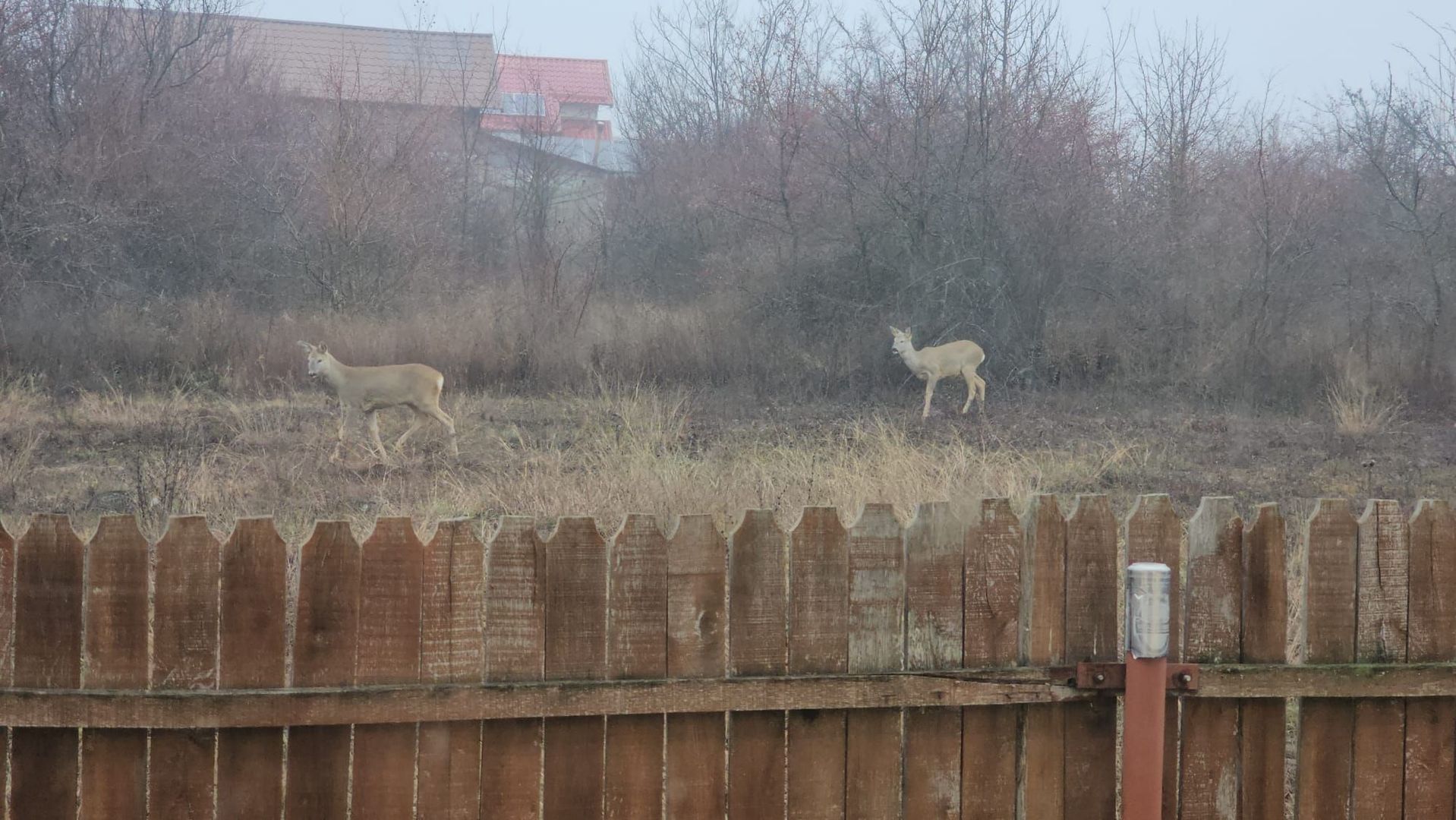 AZURA Imobiliare - Casa la cheie Mosoaia - pret de apartament! - Poză 13