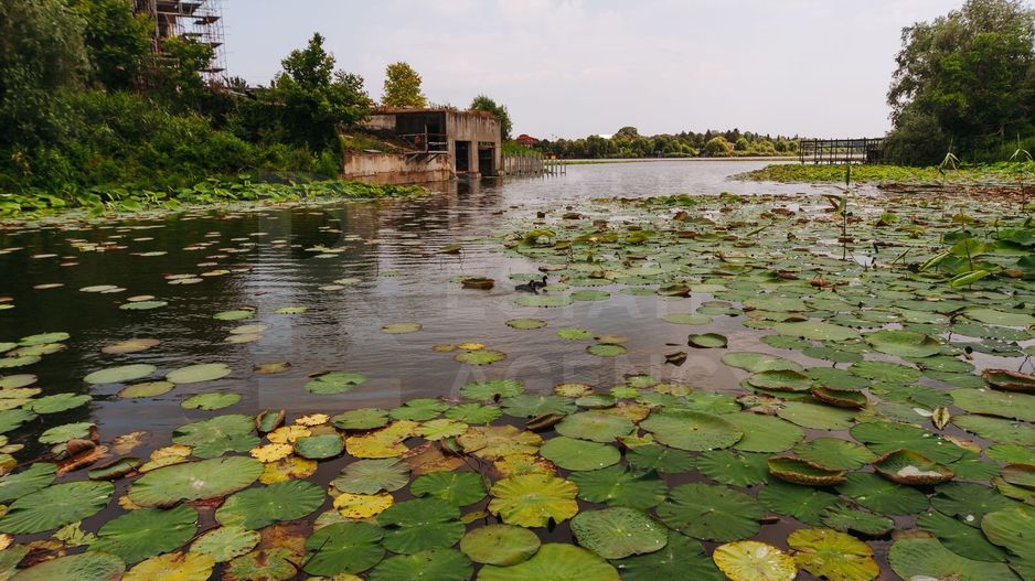 Casa cu piscina si iesire la lacul Snagov, 4 camere - Poză 6