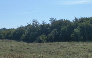 Teren intravilan investitie turism balnear fonduri europene