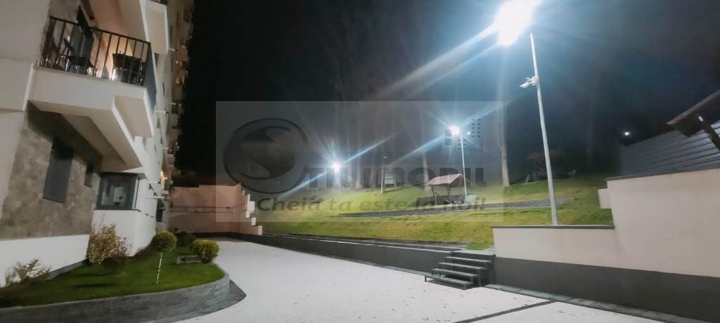 1 CAM NOU TATARASI EVERGREEN - Poză 11