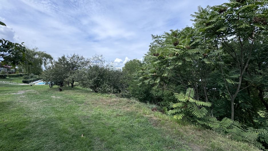 Hotel 25 camere 100 m deschidere DELTA DUNARII teren 12000 mp acces auto - Poză 23