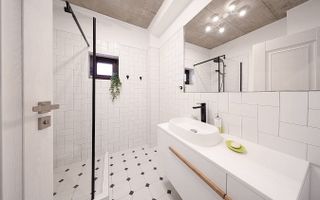 Proprietate Deosebita - Poză 51