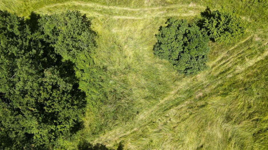 Teren pe deal la Sebiș - Poză 5