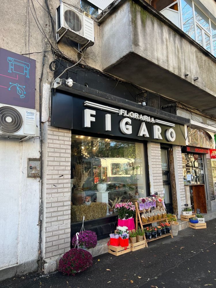 Spatiu comercial Pache Protopopescu - Poză 1