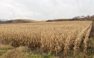 Teren 24 ari | Grănicesti | Front 19 m | DN2H - Poză 1