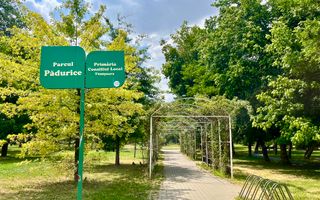 Apartament 2 camere, spațios, zona Spitalul Județean - Parcul Soarelui - Poză 24