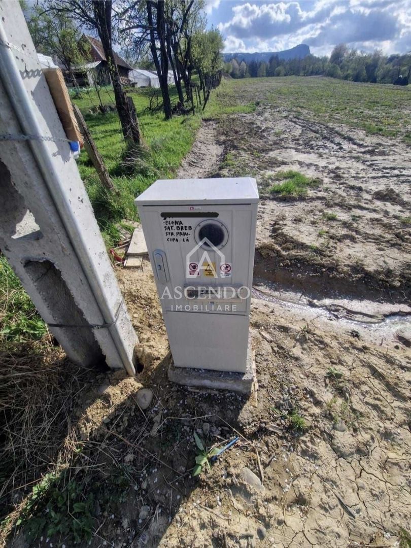 Teren 1,93 ha în Breb, Maramureș – zonă pitorească, Tăul Sărat - Poză 10