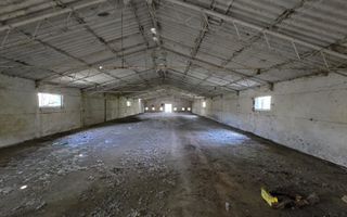 Hale industriale de vânzare – Arad, zona Exterior Vest / Calea Bodrog - Poză 6