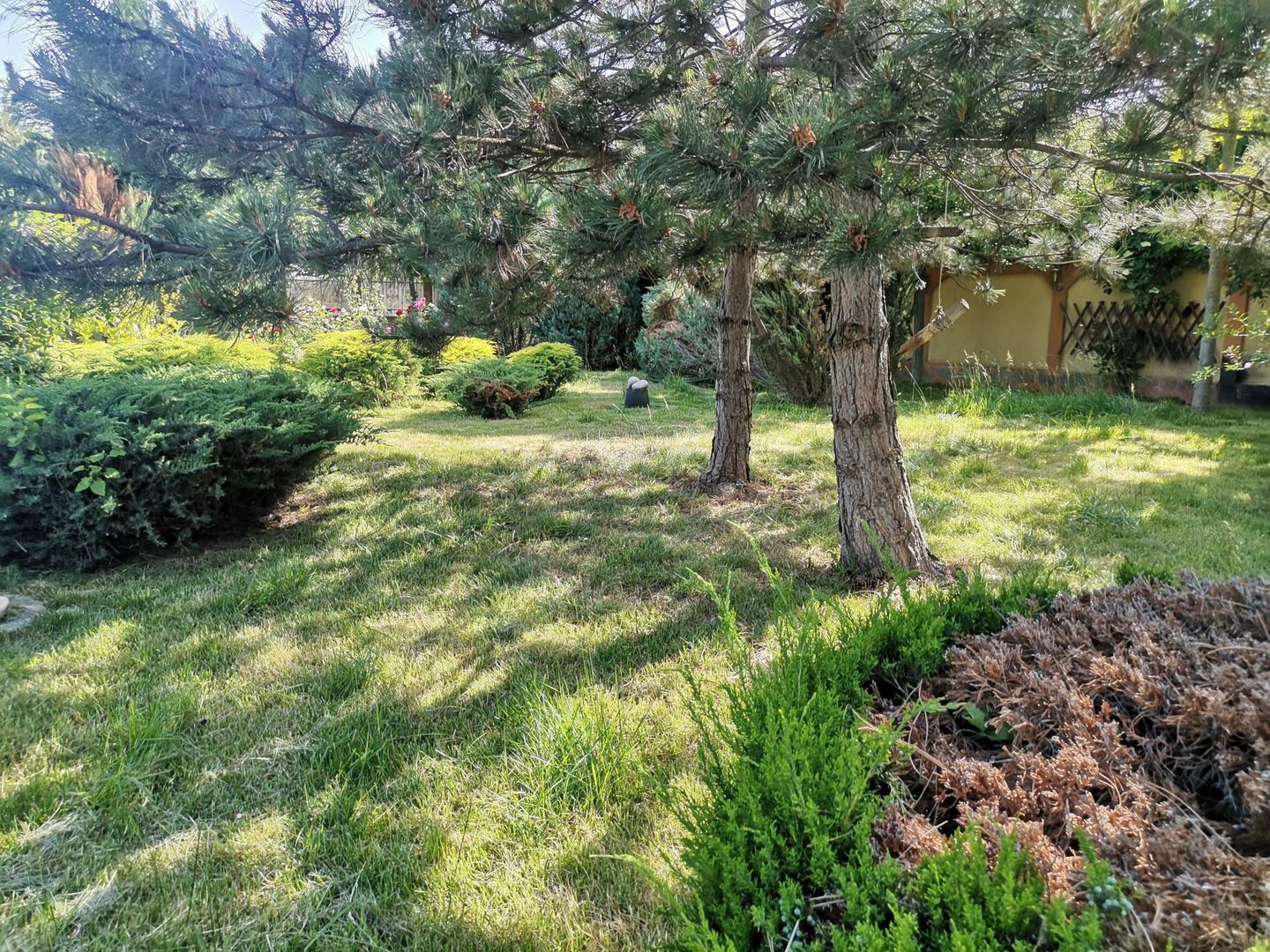 Vilă de lux mobilata/utilata cu terasa+foisor, garaj,gradina si livada - Poză 17