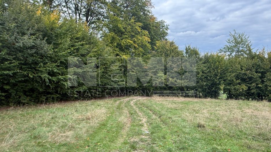 Teren de vânzare în Putna | 6.400 mp | 56 m front stradal - Poză 6