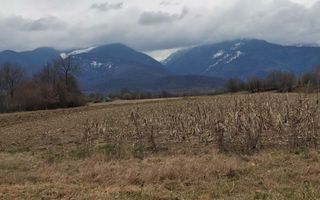 Teren extravilan de vanzare - Arpasul de Sus - Poză 4