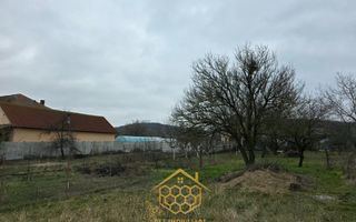 Casa P+Beci + 1.451 mp Teren ( Toate utilitatile)  – Langă Profi/Pepco - Poză 8