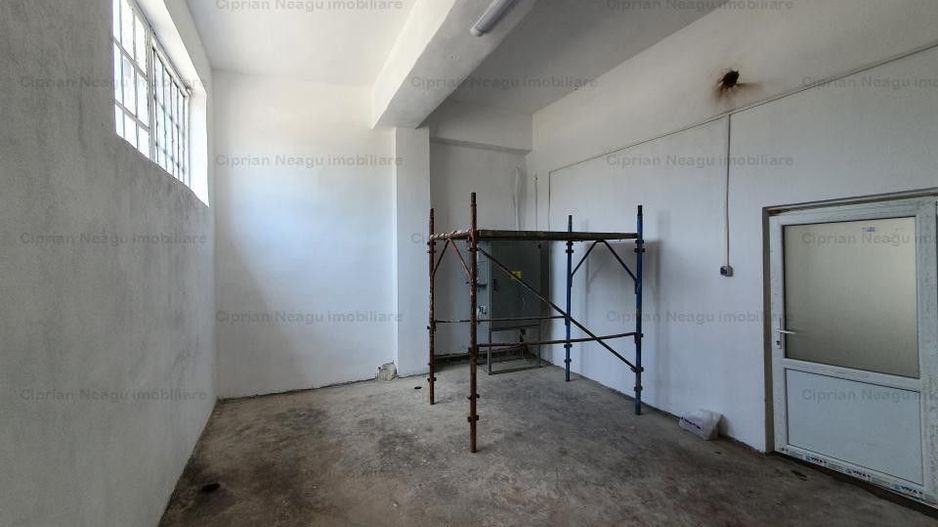 Hala Depozitare de Inchiriat Pitesti - Poză 13