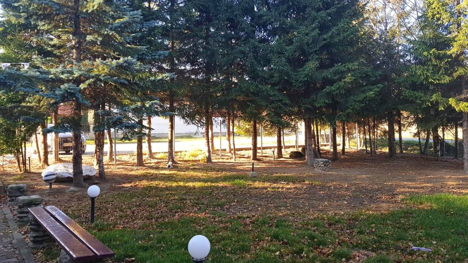 Hotel cu arhitectură montană deosebită poziționare premium Sâmbătă de Sus - Poză 20