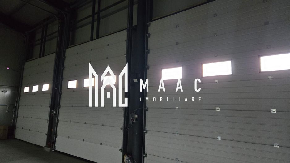 Imobil industrial I 448 mp I Teren 12.000 mp I Bradu I De Inchiriat - Poză 5