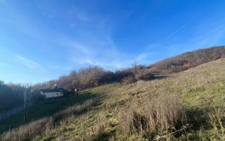 Teren | Copacelu | 5000 mp | Pretabil cartier rezidential - Poză 3