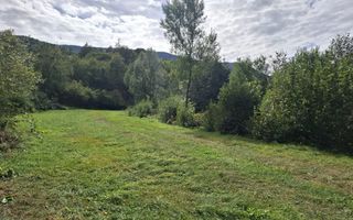 Teren Intravilan de Vânzare – 4000 mp – Râu Sadului - Poză 6