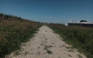 Teren de vanzare, Ordoreanu, Ferma de Struti - Poză 8