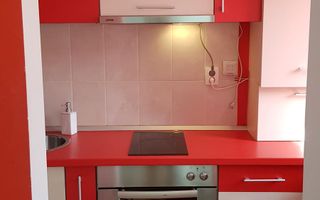 Inchiriere apartament 1 camera Centru, langa Platinia Mall/ USAMV - Poză 8