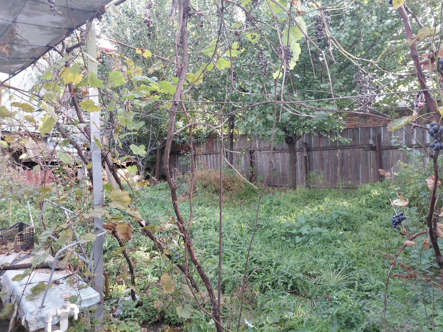 🏡 CASĂ DE VÂNZARE – ZONA PARC CFR, APROAPE DE PARCUL CAROL! - Poză 5