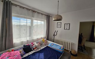 Satu Mare, Zona Titulescu, Oportunitate pentru familie mare sau firme. - Poză 14