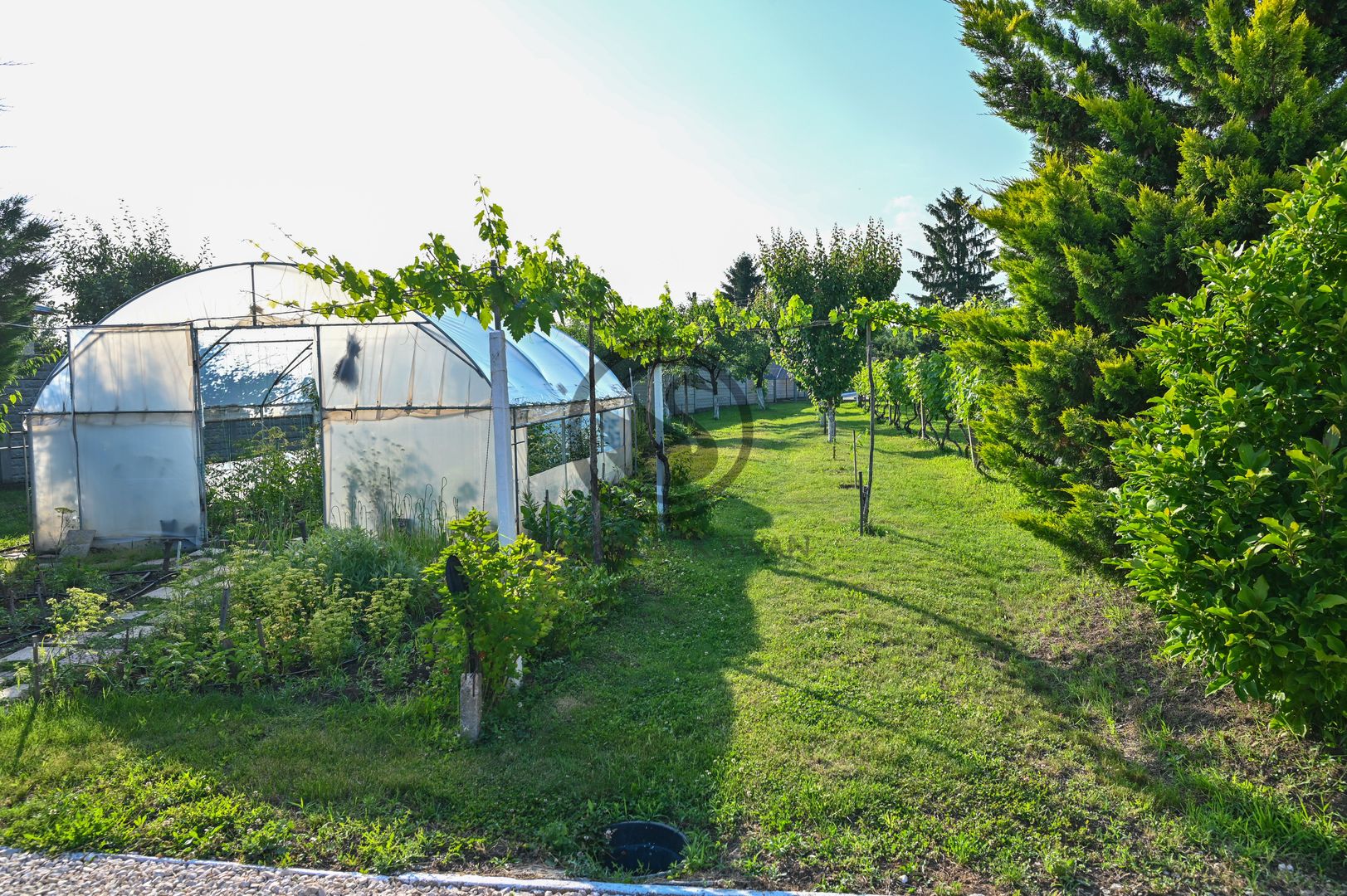 Casa cu piscina de vanzare | 3.300 mp teren | Urlati - Prahova - Poză 22