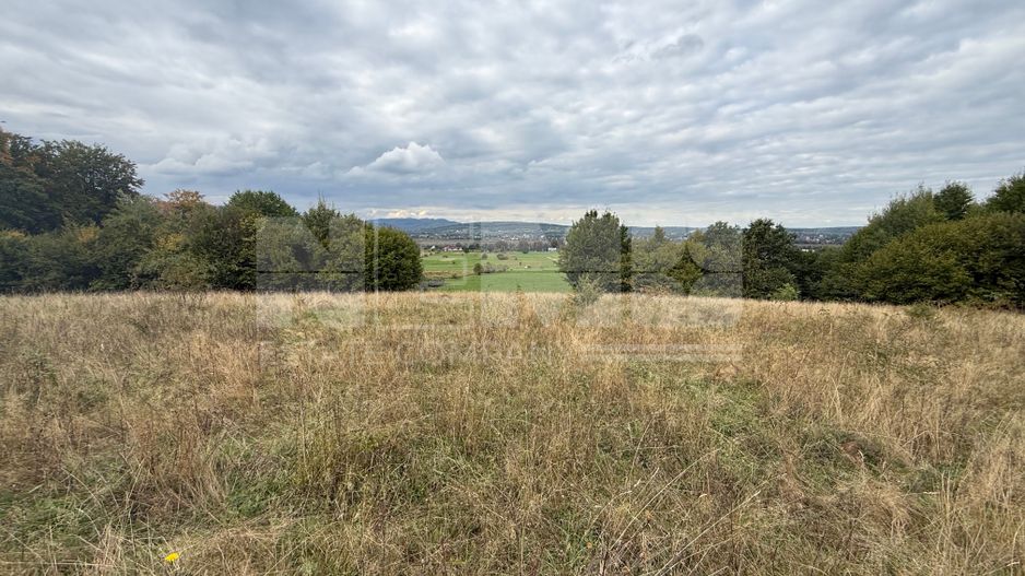 Teren de vânzare în Putna | 6.400 mp | 56 m front stradal - Poză 2