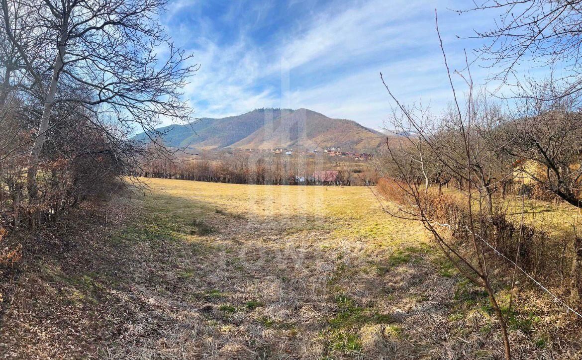 Teren intravilan 2.295 mp, deschidere 60 m – Rășinari, comision 0% - Poză 7