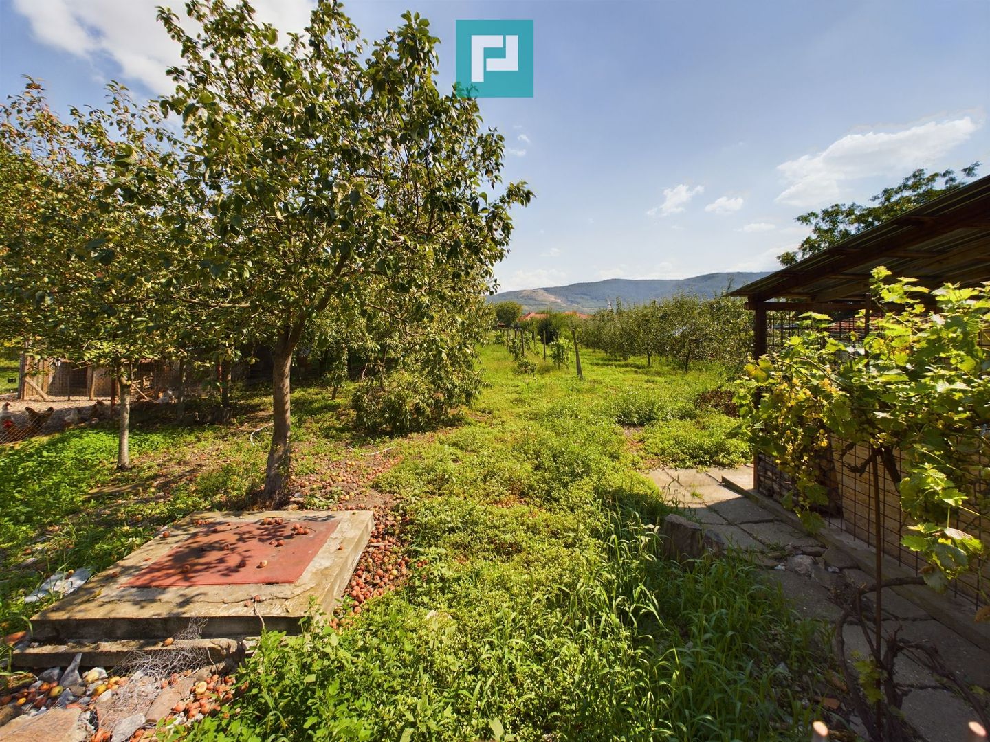 Casă deosebită în Galșa - Șiria - Poză 12
