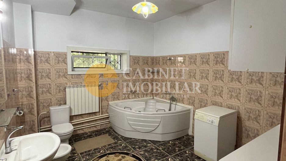 PROPRIETATE EXCLUSIVISTA 390 MP - 2000MP teren Popas Pacurari Garaj Beci - Poză 20