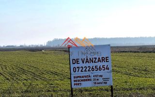 Teren intravilan, 4927 mp, Darmanesti, Dambovita - Poză 4