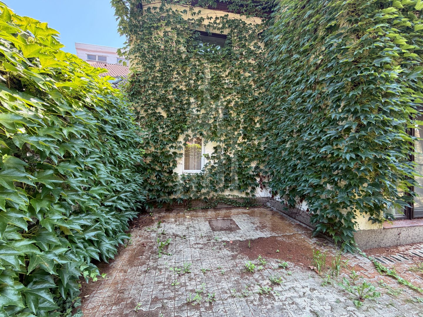 Casă premium de vânzare- zona Ștrand - Poză 44