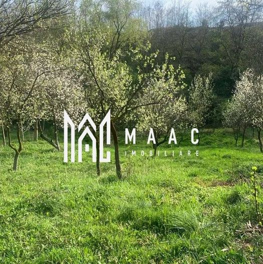 Casa Individuala I Acces Auto I Gradina I Rusi - Poză 3