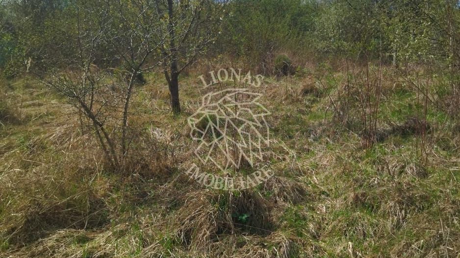 Casa P+M 3 camere 110 mp-teren 1400 mp-Zona Valea Jelnei - Poză 14