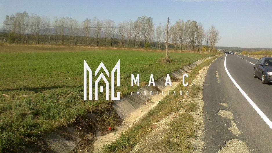 TEREN DE VÂNZARE I 8.700 MP cu front stradal de 160 I VESTEM I JUD. SIBIU – DN1 - Poză 2