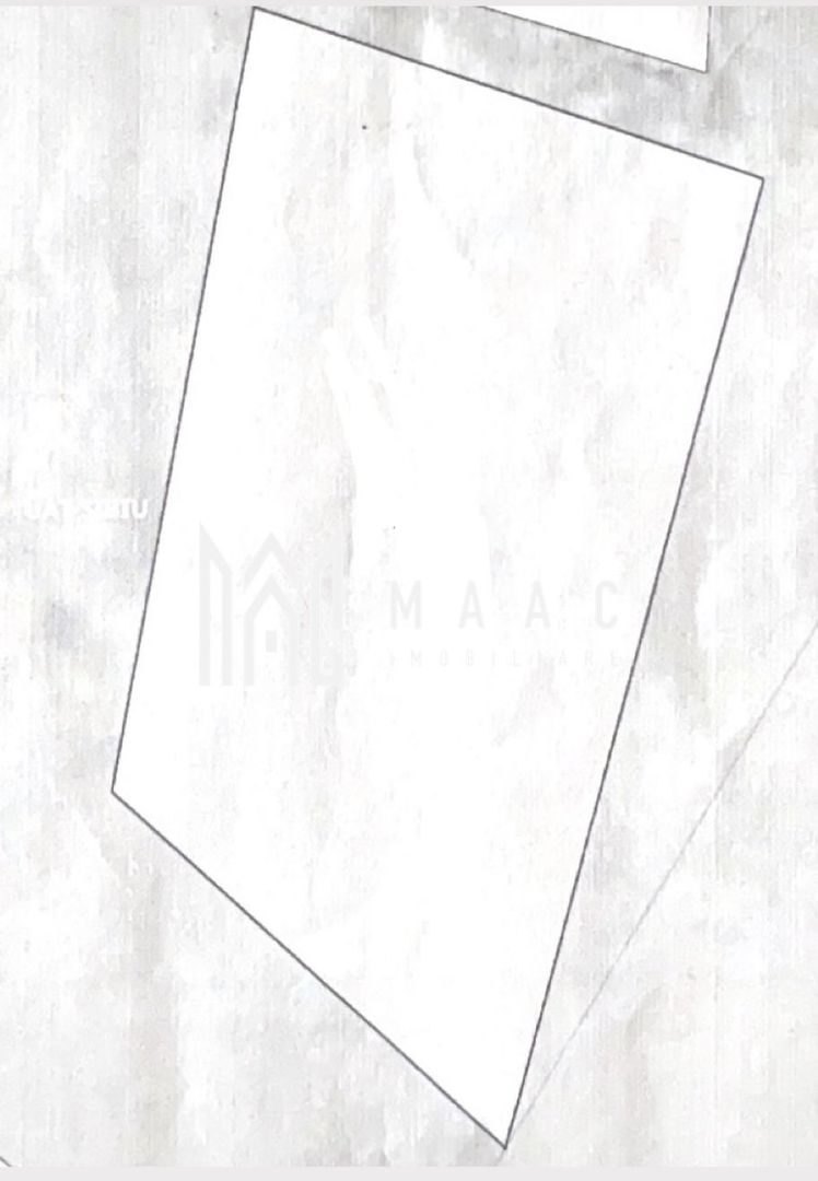 Teren | Extravilan |  2.269 MP | Daia - Poză 2