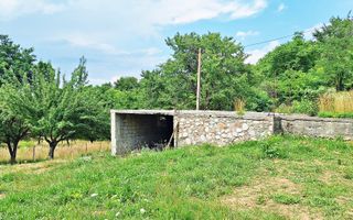 Bran- Predelut, 1000mp teren pentru casa de vacanta, pret 45 euro/mp - Poză 6