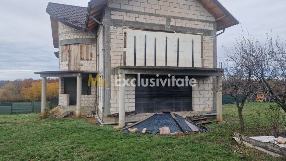 CASA LUNGANI-VEDEA! - Poză 3