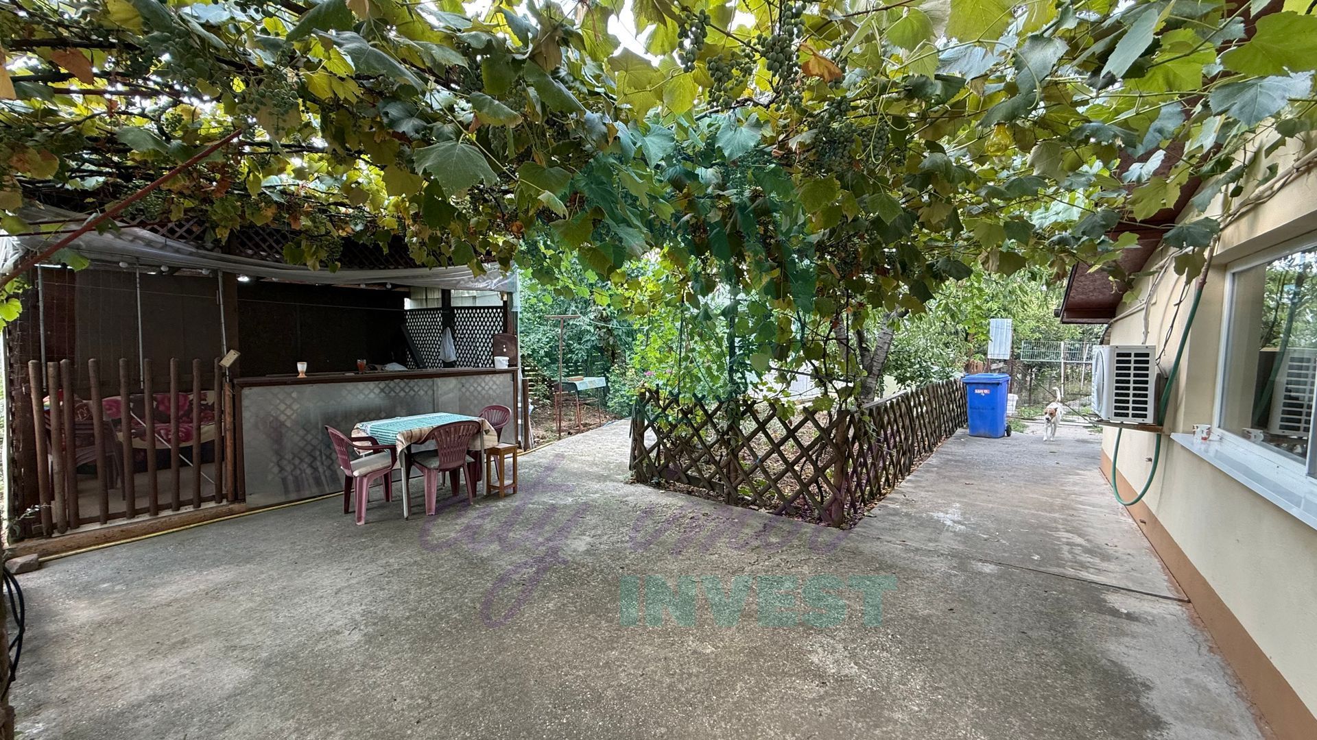 Casă parter + 1100 mp teren în Popești-Leordeni - Poză 4