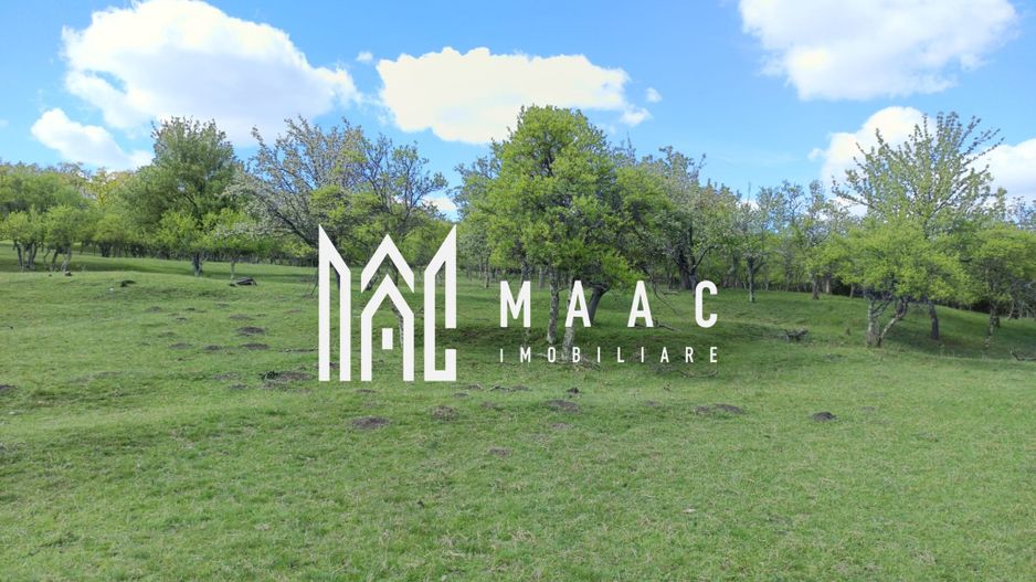 Teren Extravilan I Cisnadie I 3.506 MP - Poză 4