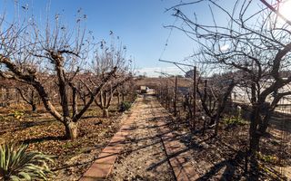 Casa superba, Adunatii Copaceni - Poză 33