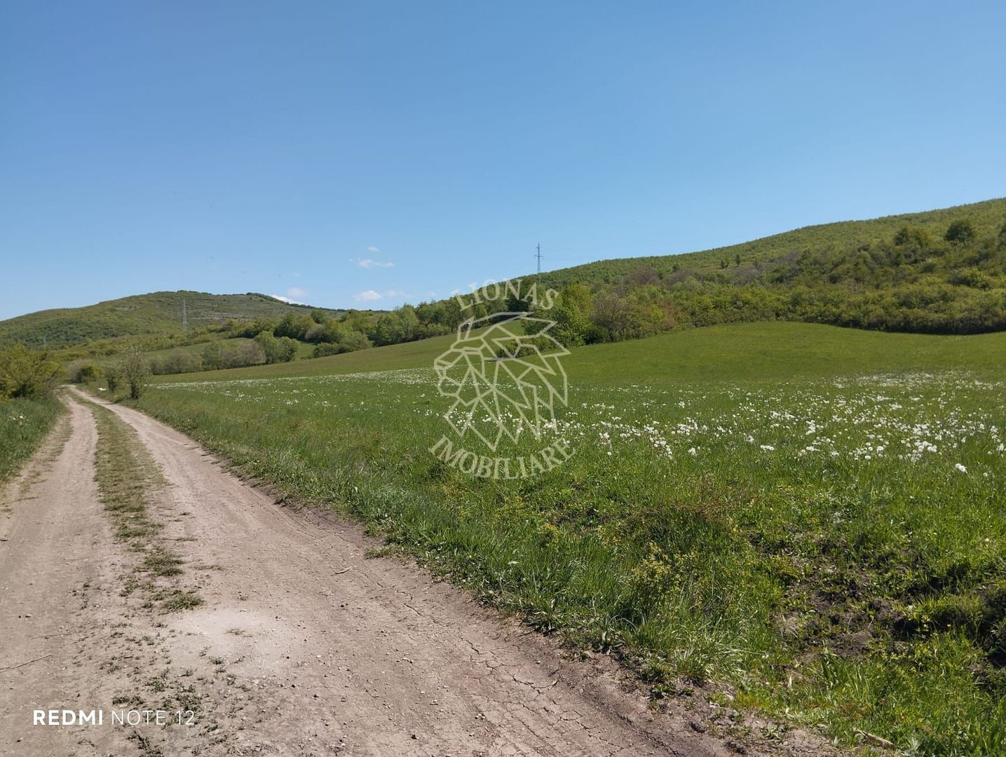 Teren 5400 mp-limita intravilan-2 deschideri-Sarata - Poză 3