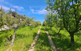 Casa de vanzare - IDEAL INVESTITIE - 1652mp teren - Daia - 105mpu - Poză 3