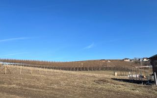 Teren intravilan  | 351mp | Sura Mare | - Poză 2