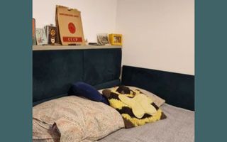 Apartament 3 camere, 54 mp, zona Pacurari, Iasi - Poză 5