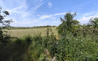 Teren de 11.000 mp cu casă și teren agricol | La 40 km de București | - Poză 18