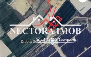 NECTORA IMOB-Teren 11.000 mp, Zona Fabrica Nokian, Extravilan 50x200m - Poză 1