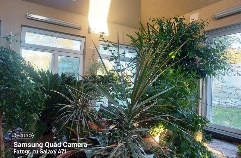 Casa lux cu 5 camere in Rontau - Poză 24