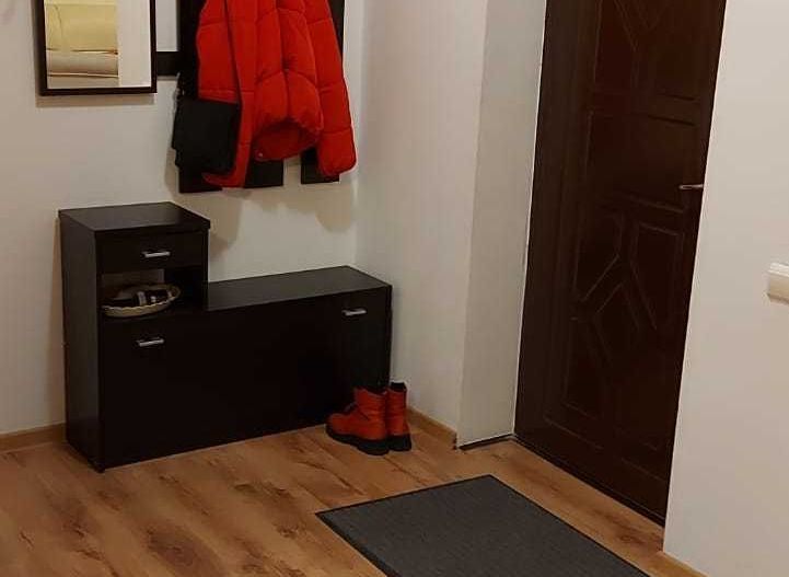 Inchiriere Apartament 2 Camere Ozana - Poză 7